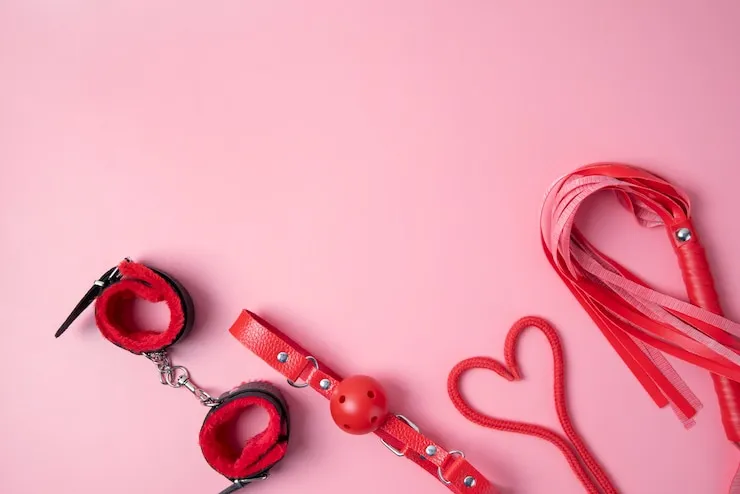 Sextoys für Frauen, Männer und Paare im Überblick